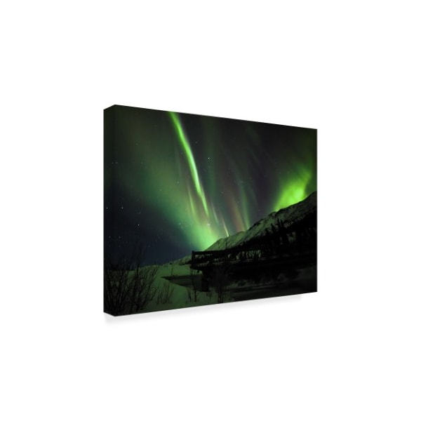 Brenda Petrella Photography Llc 'Aurora Delight' Canvas Art,35x47